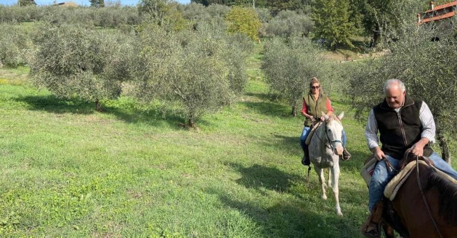 From Florence: Horseback Ride and Olive Oil and food tasting - Start with a Scenic Ride in the Chianti Hills