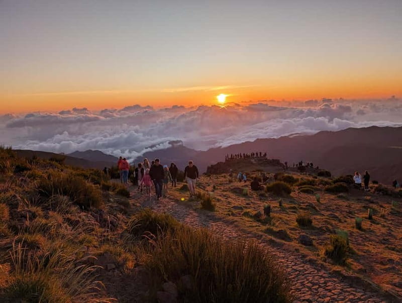From Funchal: Pico Arieiro Sunrise with Optional Breakfast - Who Would Love This Tour?