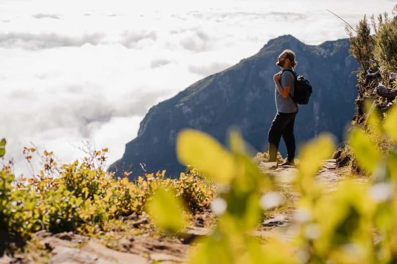 From Funchal: Transfer to Pico do Arieiro Trail - The Downhill Challenge: PR3 Vereda do Burro