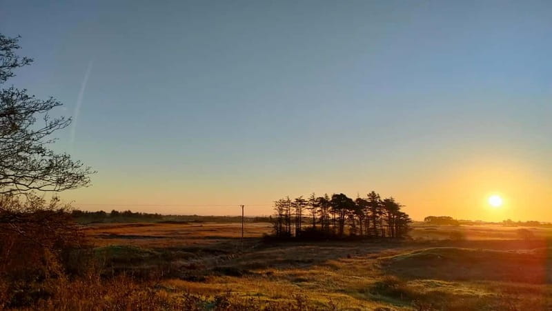 From Galway:Connemara, Kylemore Abbey & Castles Private Tour - Sky Road and Stunning Mountain Passes