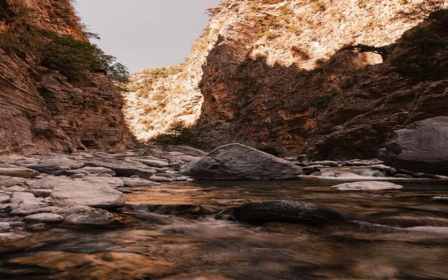 From Georgioupolis: Samaria Gorge one Day Hike with Guide - Who Will Love This Tour?