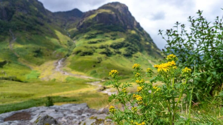 From Glasgow: Jacobite Steam Train & The Highlands Tour - Crossing the Highlands: Glencoe and Beyond
