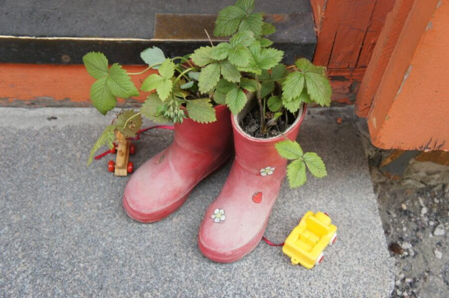 From Helsinki: Guided Day Trip to Tallinn by Ferry & VIP Car - Who Will Benefit Most from This Tour?
