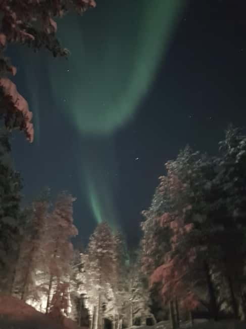From Helsinki: Guided Forest Walk in the dark with campfire - The Special Appeal of the Guided Night Walk
