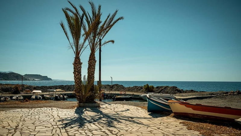 From Heraklion Crete Kritsa Village and Mirtos Beach - Olive Oil Park: Tasting Cretes Liquid Gold