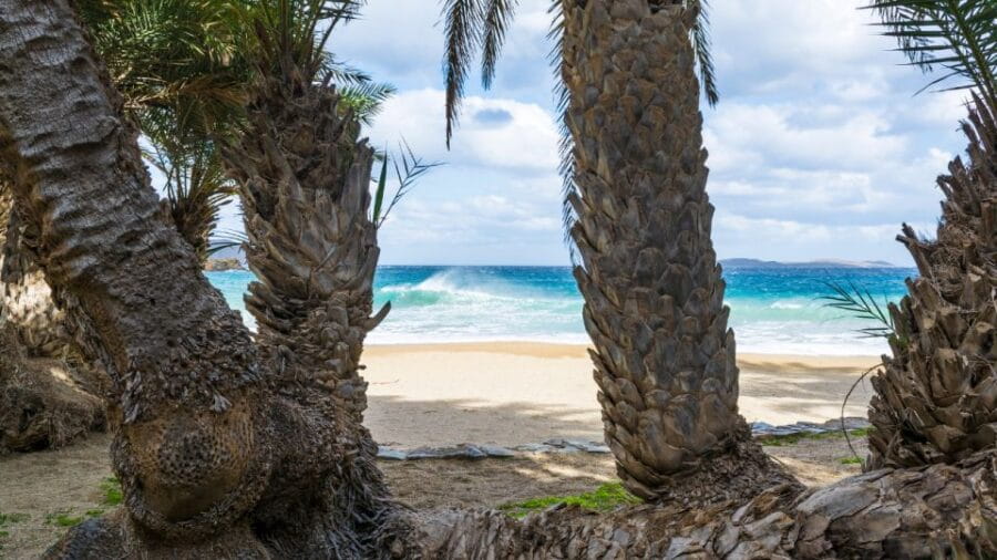 From Heraklion: Palm Forest Beach of Vai, Toplou & Sitia - Final Thoughts