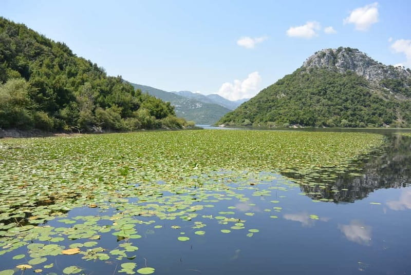 From Herceg Novi: Private Tour to Skadar Lake - FAQ