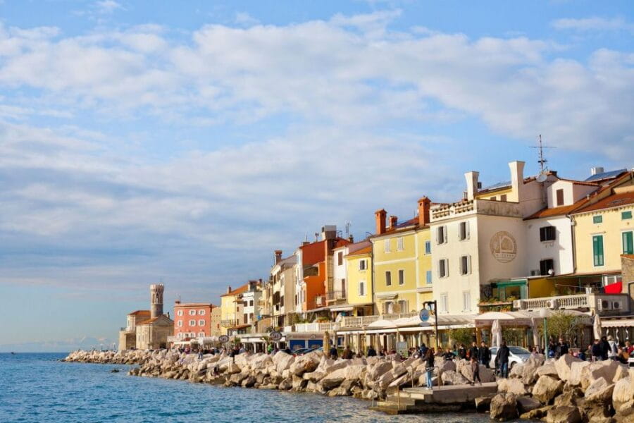 From Koper: Piran and Panoramic Slovenian Coast Tour - Food, Wine, and Local Flavors