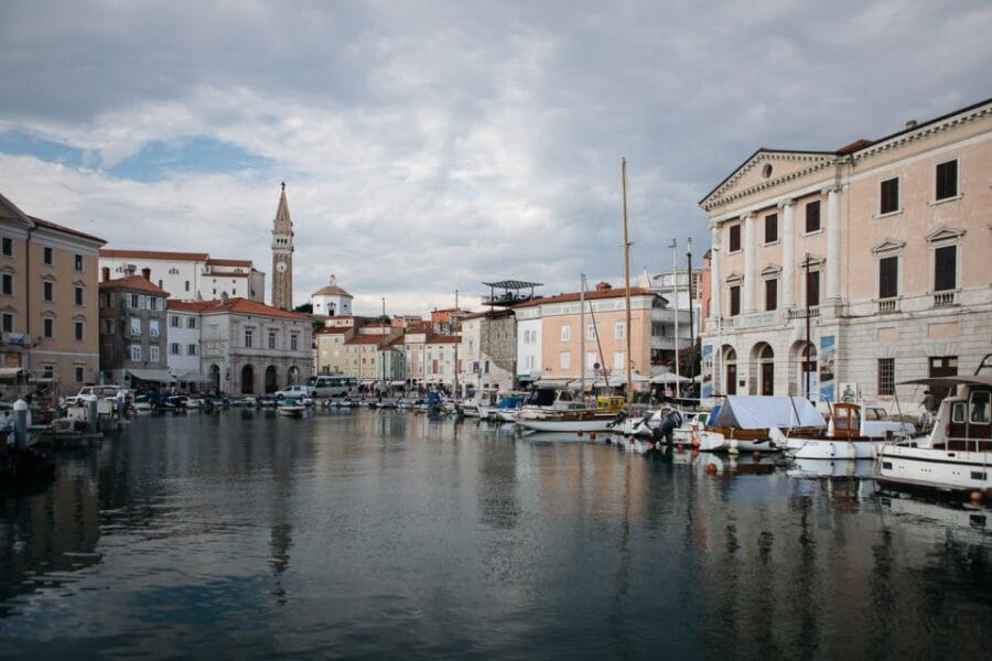 From Koper: Piran's Tastes and Tales - Scenic Drive Along Slovenia’s Coastal Hills
