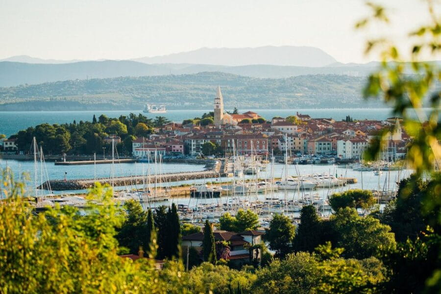 From Koper: Slovenian Riviera Bus Tour with Food Tastings - The Itinerary: Scenic Drive and Authentic Stops