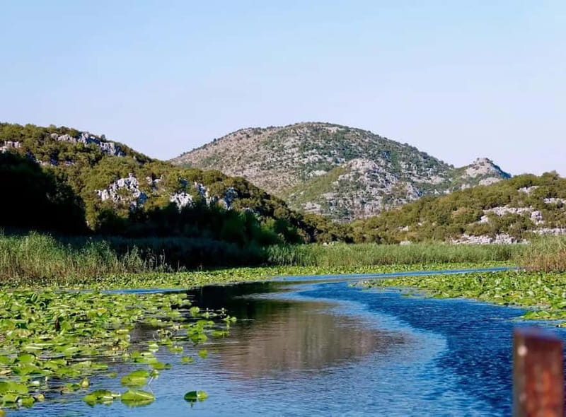 From Kotor and Tivat: Private Tour to Skadar Lake - Who Is This Tour Best For?
