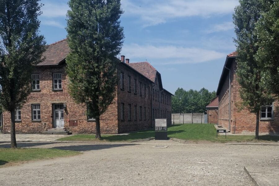 From Krakow: Auschwitz-Birkenau Camp Complex Guided Day Trip - Entering The Camp Grounds: What to Expect