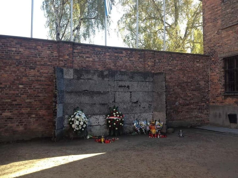 From Krakow: Auschwitz-Birkenau Memorial and Museum Tour - Who Should Take This Tour?