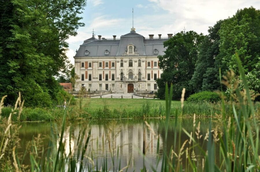 From Krakow: Pszczyna Castle and Bison Reserve Day Trip - Wildlife Encounters: European Bison in a Peaceful Reserve