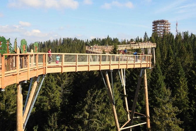 From Kraków: Slovakia Treetop Walk and Bachledka Ski - The Treetop Walk: A Path Among the Trees