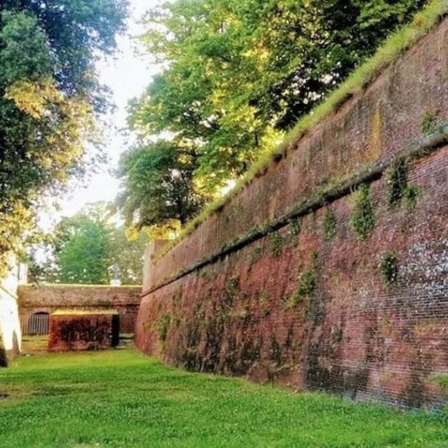 From La Spezia: Pisa, Lucca & Lunch at a Tuscan Winery - Strolling Through Lucca’s Medieval Charm