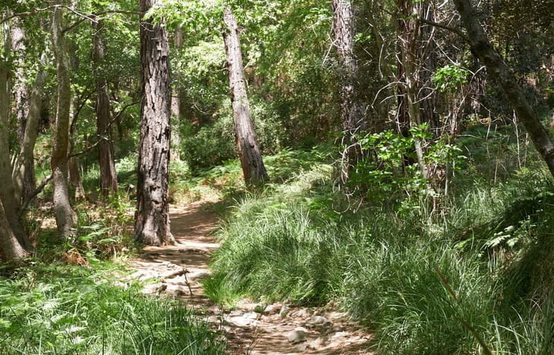 From Larnaca Bay: Grand Tour Jeep Safari - Discovering Cyprus’s Hidden Side: An Honest Look at the 4x4 Jeep Safari