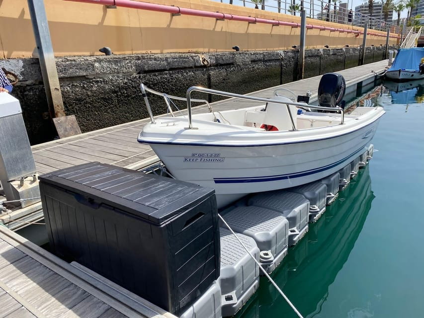 From las Palmas : Day sailing experience along the coast - Price and Logistics: Is It Worth It?