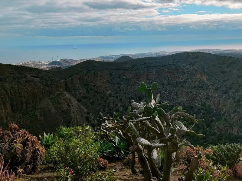 From Las Palmas: Half day tour Volcano Bandama & Vineyard - Who Will Love This Tour