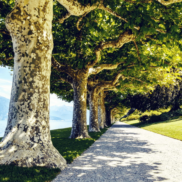 From Lecco: Lakeside Villas Entry Tickets with Ferries - Who This Tour Is Best For