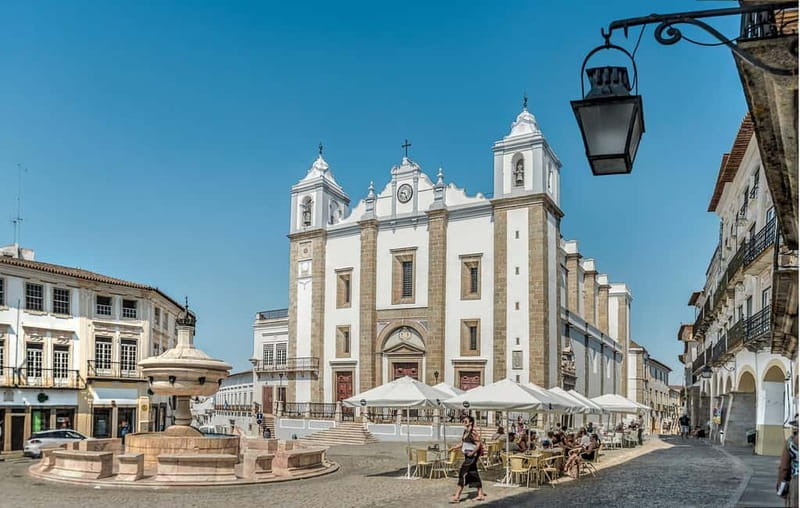 From Lisbon: Évora Day Trip with Optional Wine Tasting - Who Will Love This Tour?