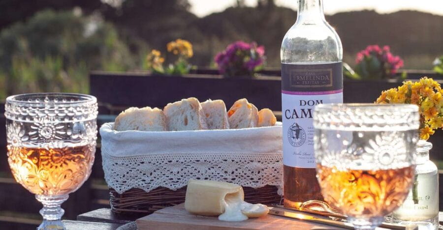 From Lisbon: Private Wine Tour with Wine & Cheese Tasting - Exploring Arrábida Natural Park