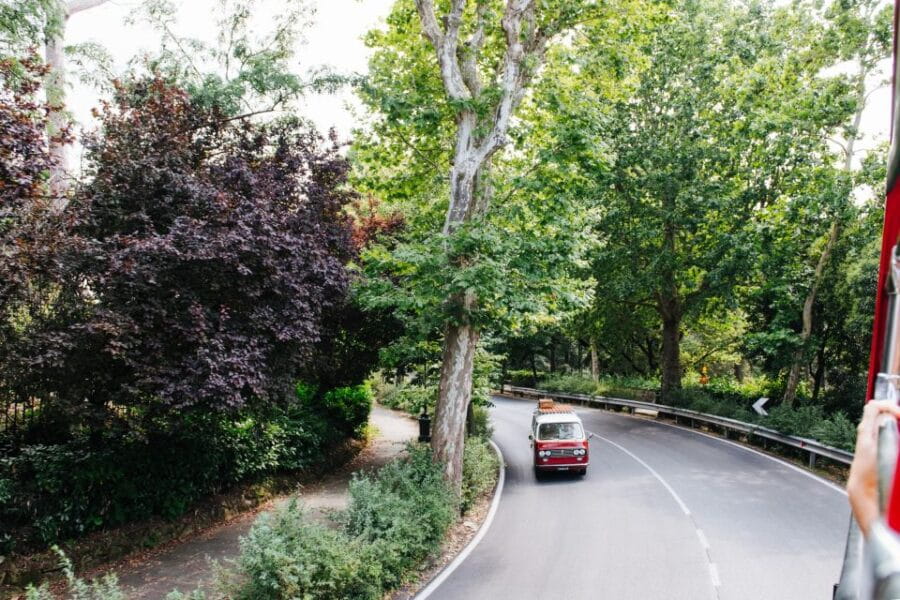 From Livorno: Florence Hop-On Hop-Off Shore Excursion - Exploring Florence on the Hop-On Hop-Off Bus