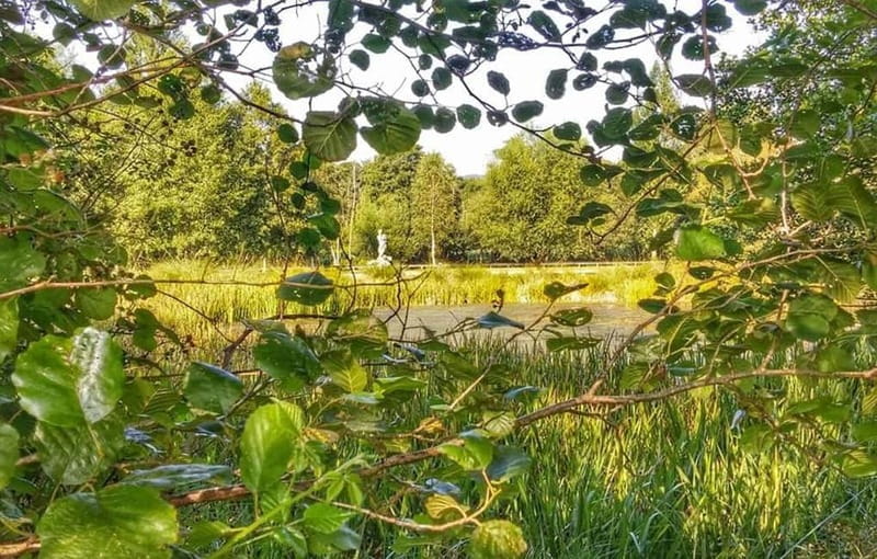 From Lugo: Half-day excursion to the Viladonga Hillfort - The Source of the Miño River and Scenic Legends