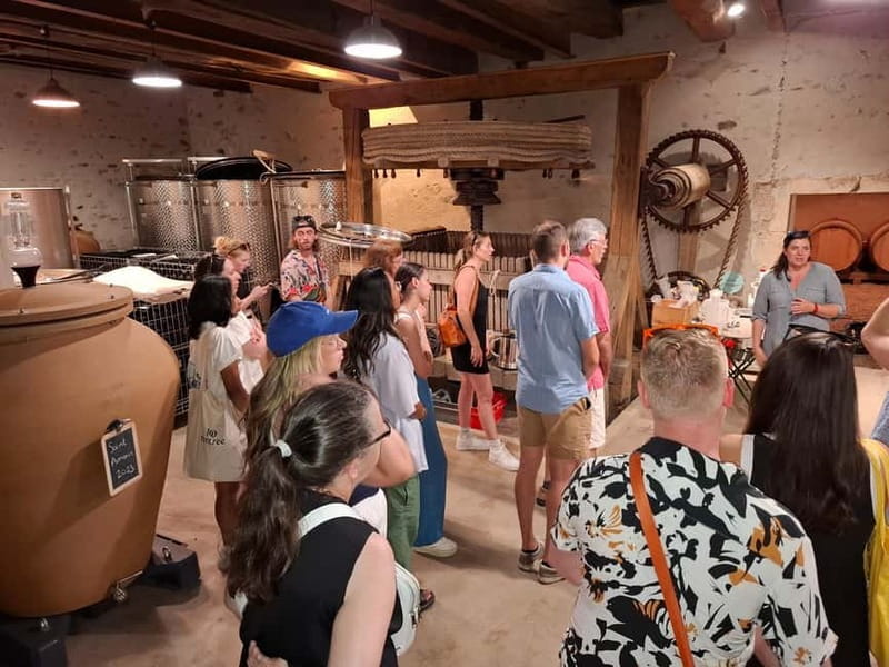 From Lyon: Beaujolais Wine Route Half-Day Tour - Practical Tips for Your Tour