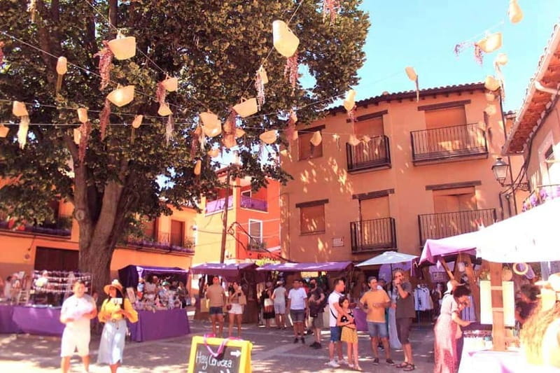 From Madrid: Brihuega Lavender Fields Guided Tour - Exploring the Itinerary: What to Expect and Why It Matters