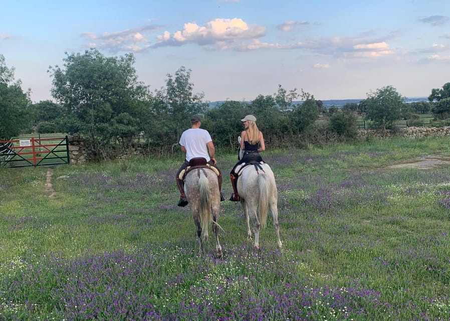 From Madrid: Horseback riding Experience - Final Thoughts: Is It Worth Your Time?
