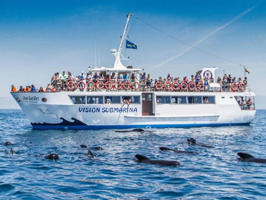 From Malaga: Guided tour in Tarifa with whale-watching and dolphin watching - Exploring the Strait of Gibraltar: An In-Depth Review