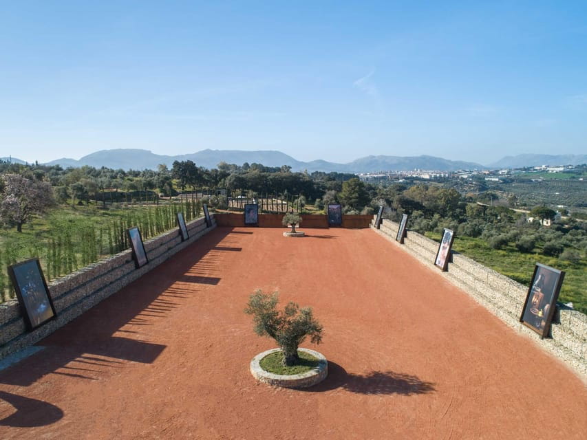 From Málaga: Ronda Experience with oil tasting - Frequently Asked Questions