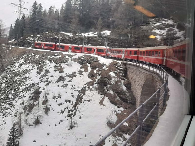From Milan: Scenic Alps Day Trip with Bernina Train Ride - Who Is This Tour Best For?