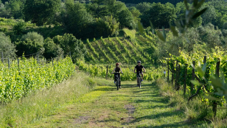 FROM MONTECATINI TERME: E-BIKE TOUR WITH WINE TASTING - The Route and Stops: A Deep Dive