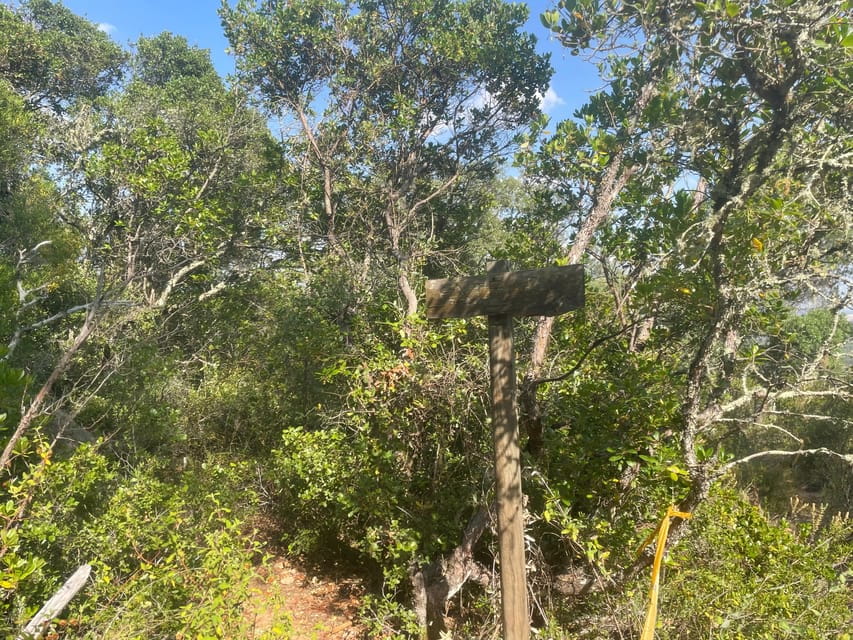 From Montemor or Évora: Guided Hike to Almendres Megalithic - Why This Tour Stands Out