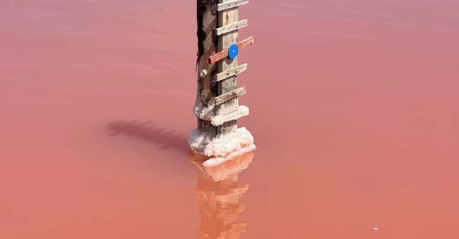 From Montpellier: Camargue and Salt Marshes Guided Tour - Discovering Aigues Mortes: Medieval Fortified Charm