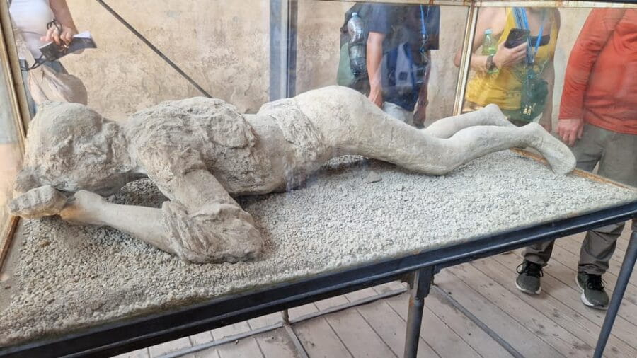 From Naples: Pompeii and Sorrento Day Trip with Lunch Option - Who Is This Tour Best For?
