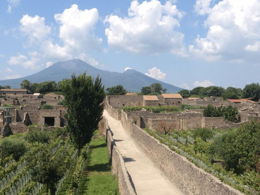 From Naples: Pompeii Ruins VIP Guided Tour - Who Will Love This Tour?