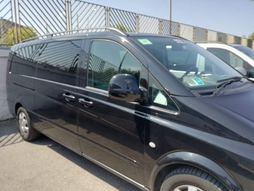 From Naples: Roundtrip Guided Pompeii Tour with Pickup - Final Thoughts