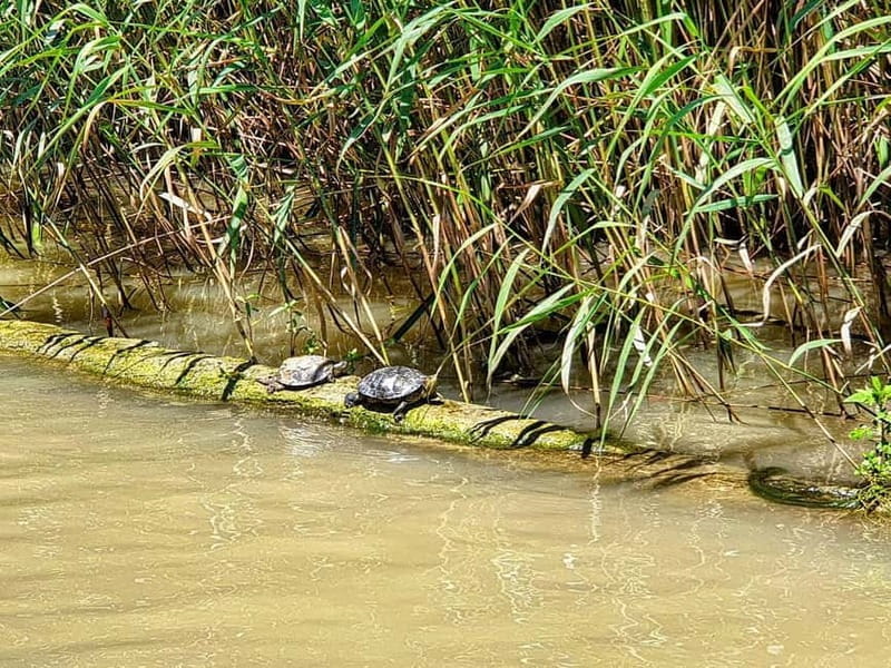 From Obzor: Aladzha, Kamchia, Varna, Pobiti Kamani - The Final Word: Is This Tour Worth It?