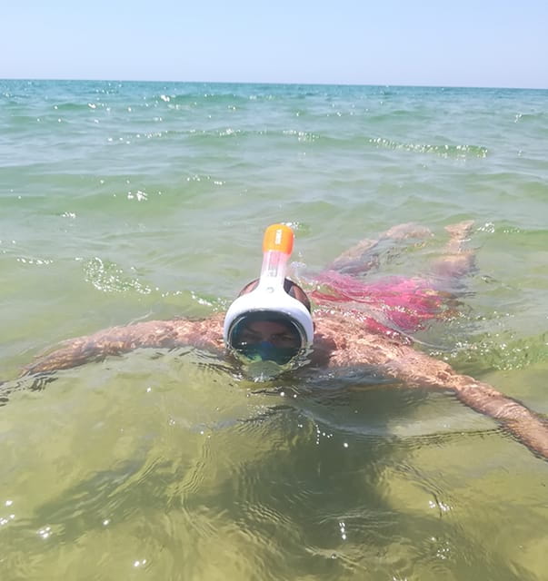 From Olhão: 7 Valleys Hiking, Benagil Cave, Snorkeling Tour - The Transportation and Logistics: Comfort and Convenience