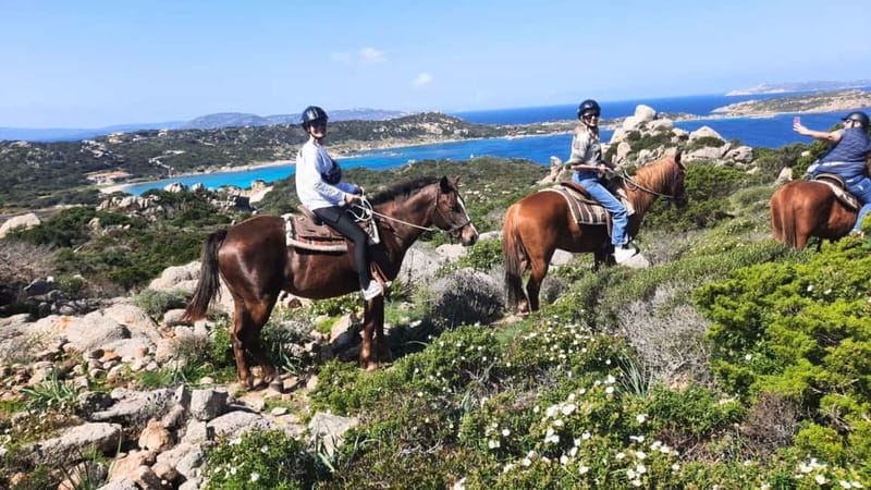 From Palau: minibus tour and horseback ride in La Maddalena - Final Thoughts: Is This Tour for You?