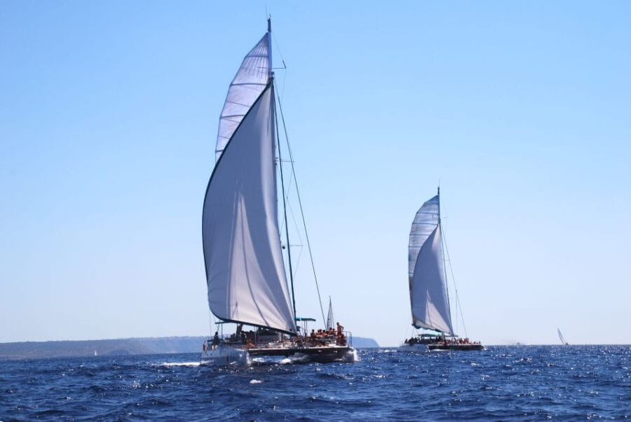 From Palma de Mallorca: Boat Cruise to Illetes - Why This Trip Works for Different Types of Travelers