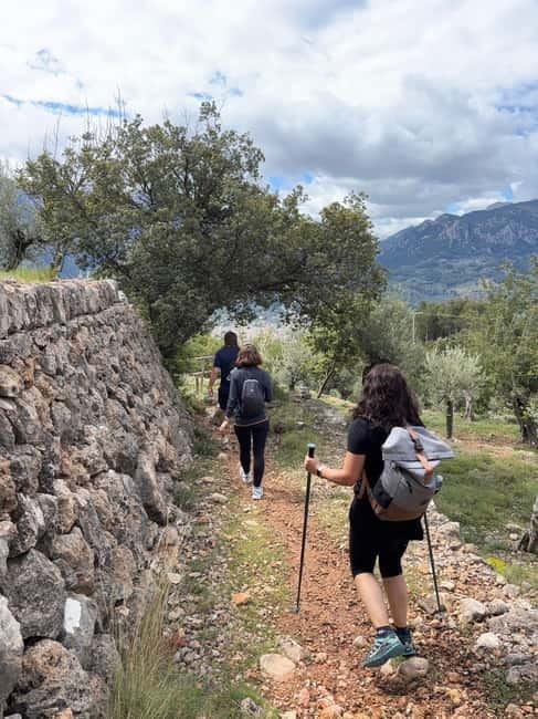 From Palma: Sierra de Tramuntana Hiking with small Picnic - Who Will Love This Tour?