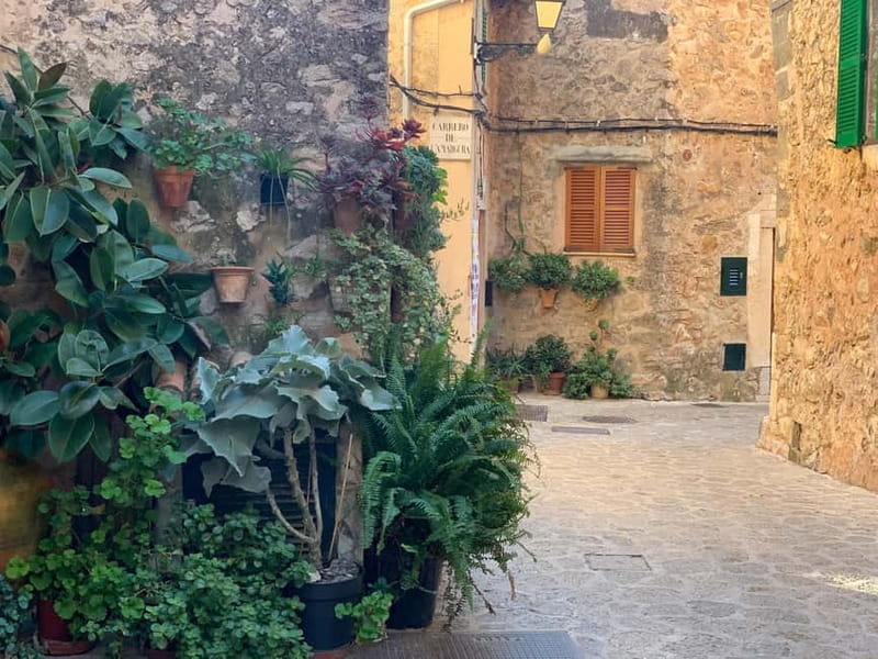 From Palma: Valldemossa Tour and Mountain Viewpoint Hike - Who Will Love This Tour?