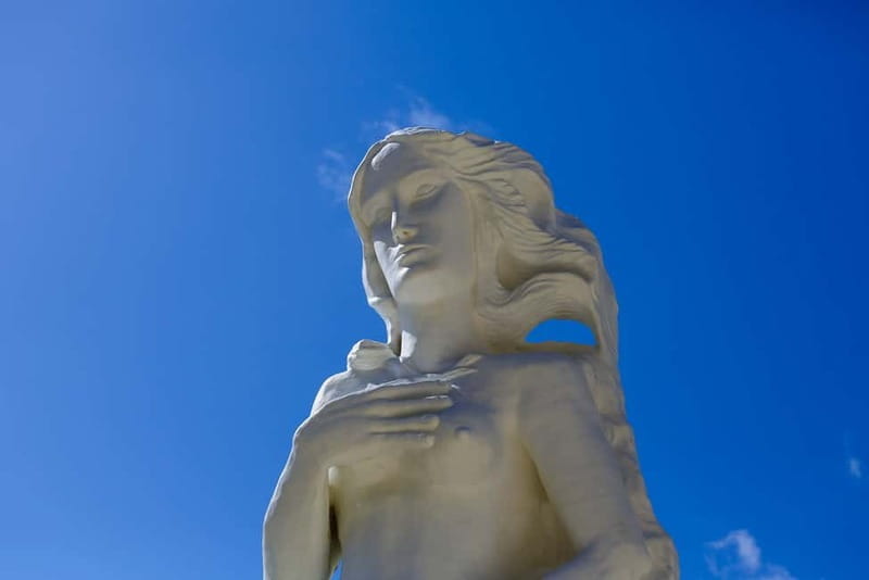 From Paphos: Coral Bay and Adonis Baths Guided Buggy Tour - The Experience: What Makes This Tour Stand Out