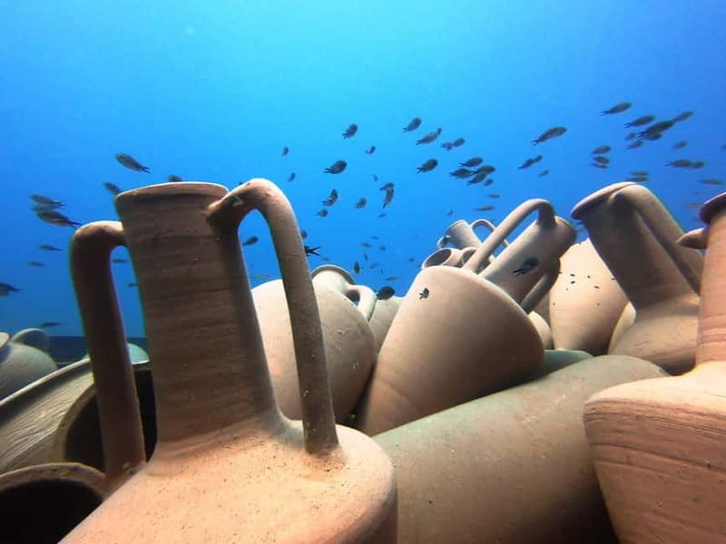 FROM PAPHOS: Snorkeling at the Marine Park (shore) - Exploring the Itinerary in Detail