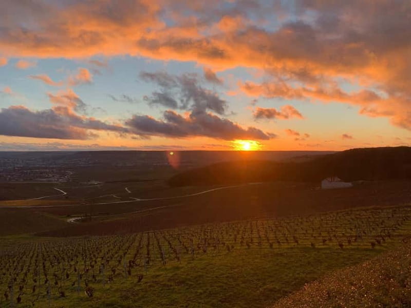 From Paris: Reims Cathedral, Champagne Cellar, and Tasting - Starting Point and Logistics