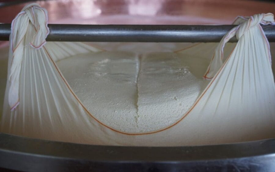 From Parma: Parmigiano and Parma Ham Guided Food Tour - Visiting a Parmigiano Reggiano Cheese Factory